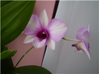 d2224bf5-Picture 3786.jpg